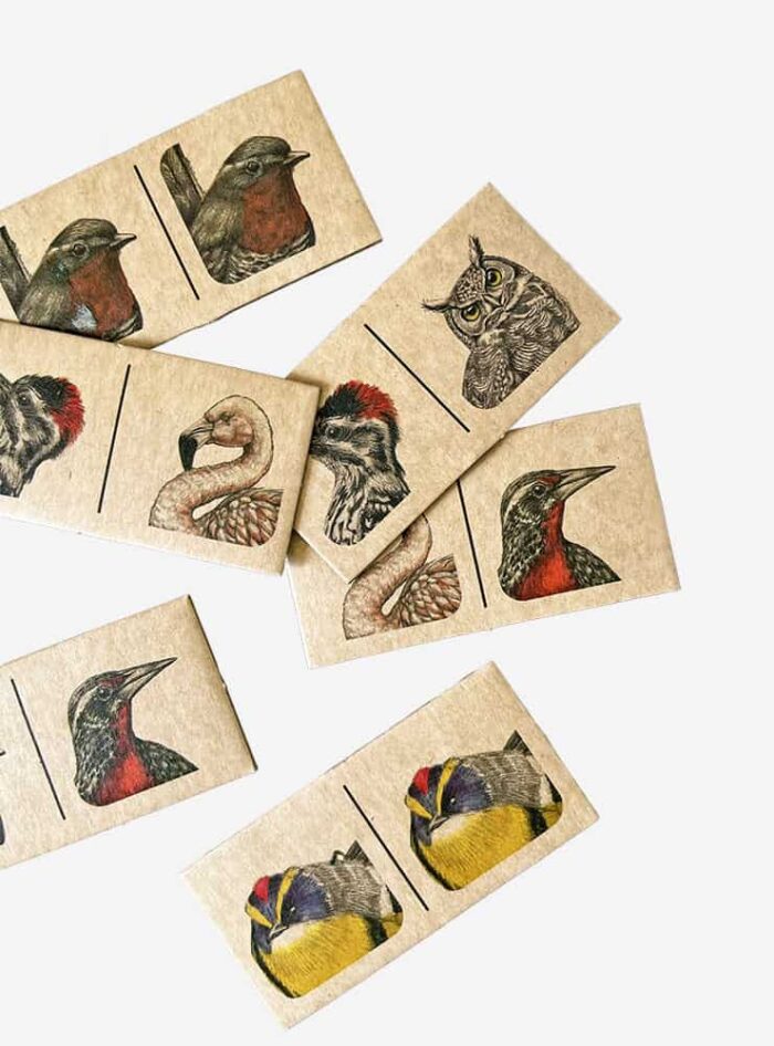 JUEGO DOMINÓ AVES DE CHILE
