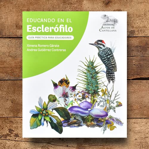 CANTILLANA