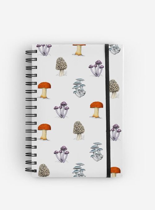 Cuaderno Hongos
