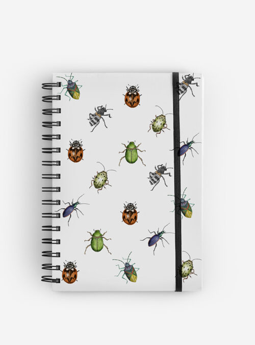 Cuaderno Insectos