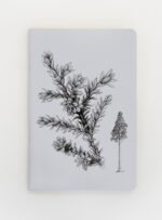 Libreta - Alerce