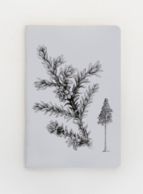 Libreta - Alerce