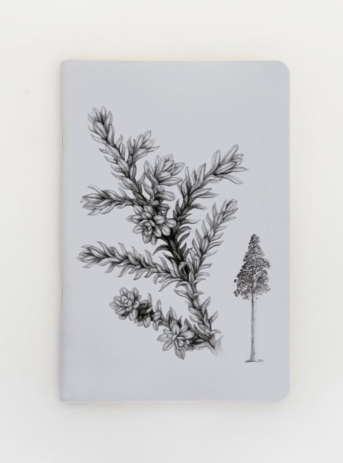 Libreta - Alerce