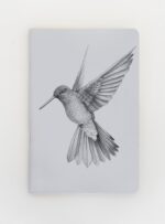Libreta - Picaflor gigante