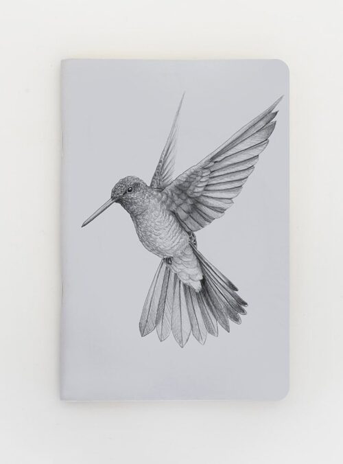 Libreta - Picaflor gigante