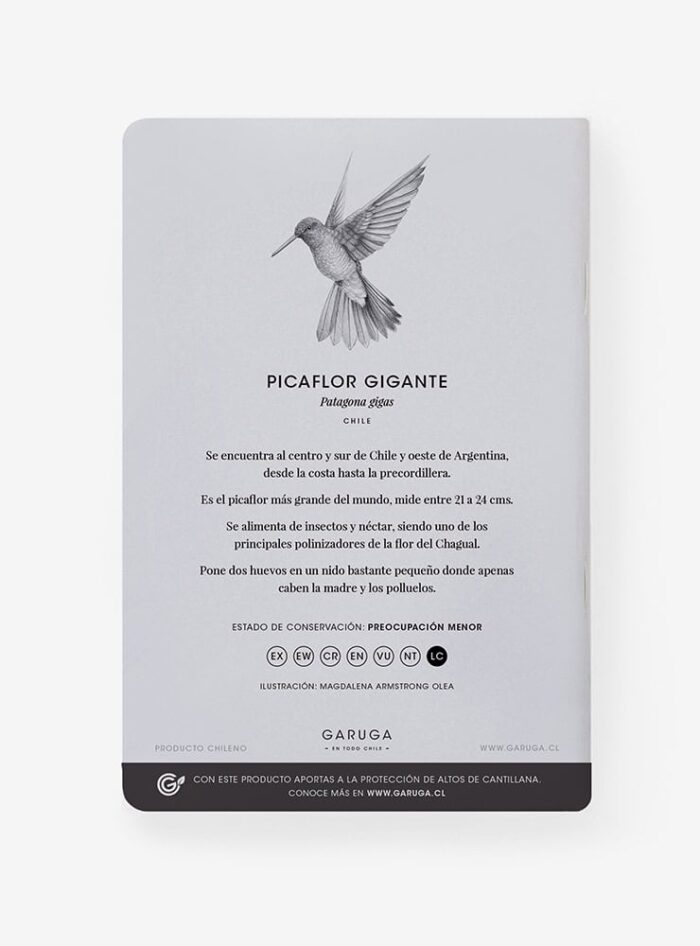 Libreta - Picaflor gigante