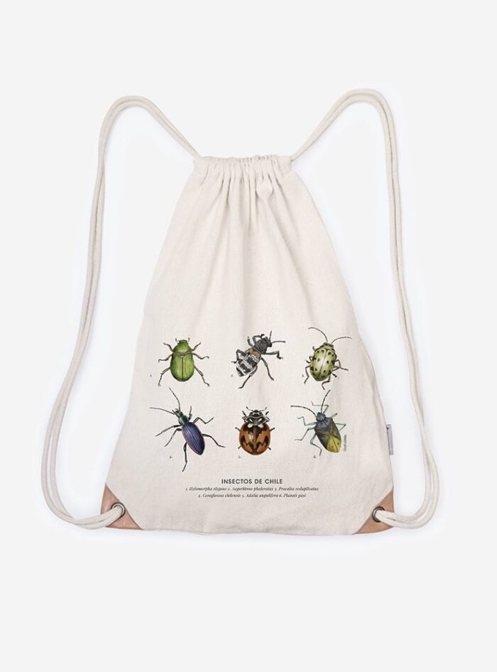 Mochila - Insectos de Chile