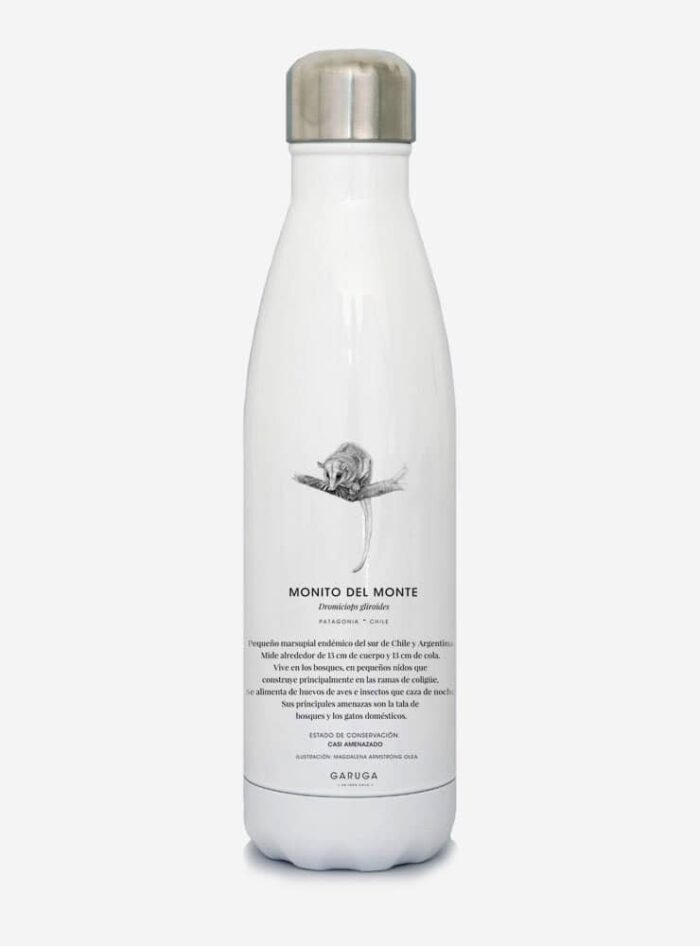 Botella Térmica - Monito del Monte