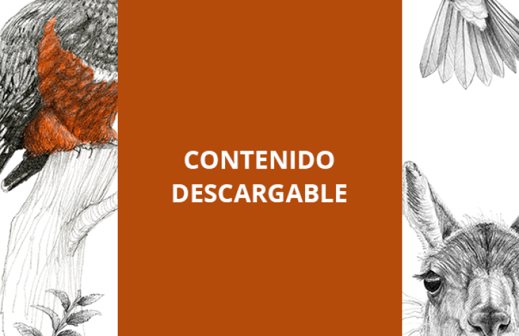 CONTENIDO