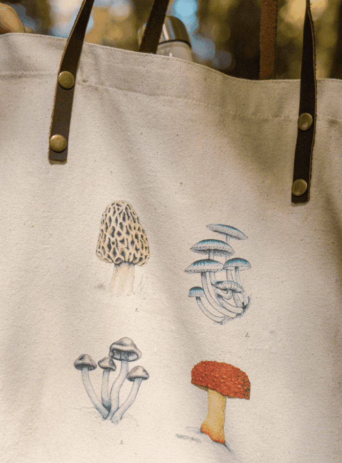 Totebag - Huillín