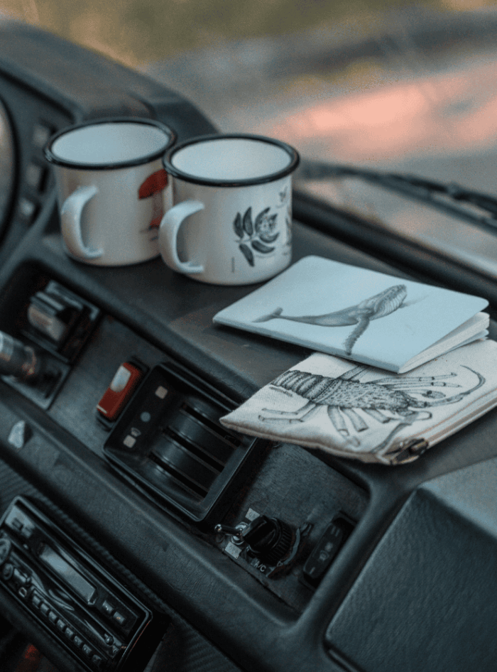 Estuche - Loica