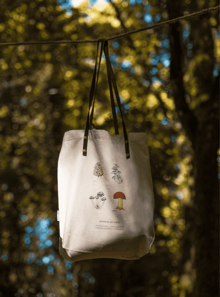 Totebag - Huillín