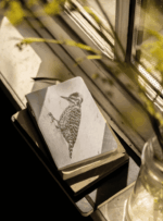 Libreta - Mariposa del chagual