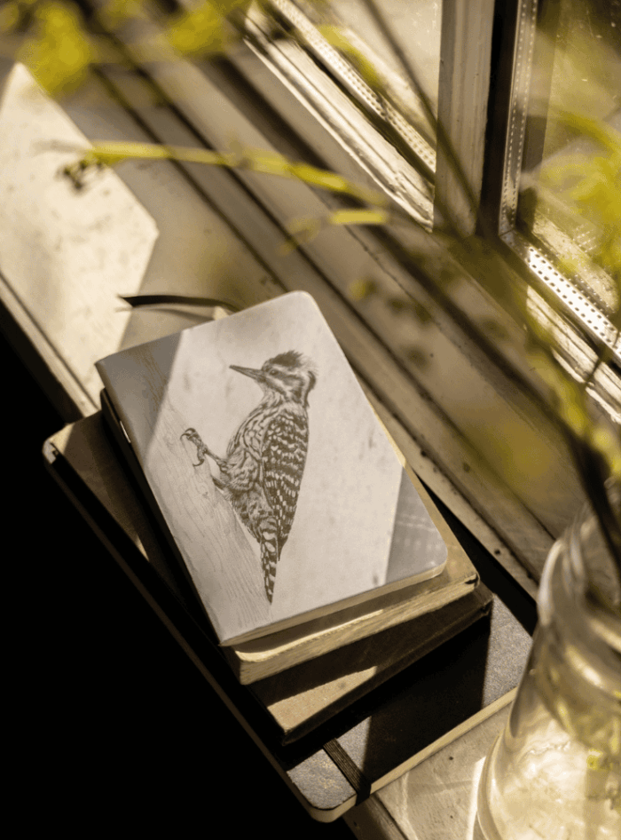 Libreta - Mariposa del chagual