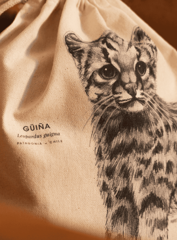 Mochila - Langosta de Juan Fernández