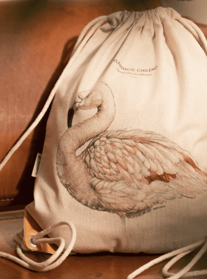 Mochila - Abejorro Chileno