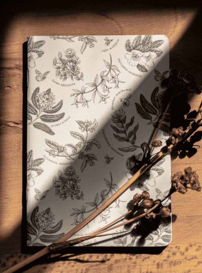 Libreta - Araucaria