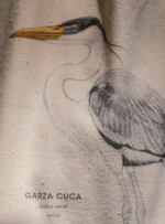 Totebag - Garza Cuca