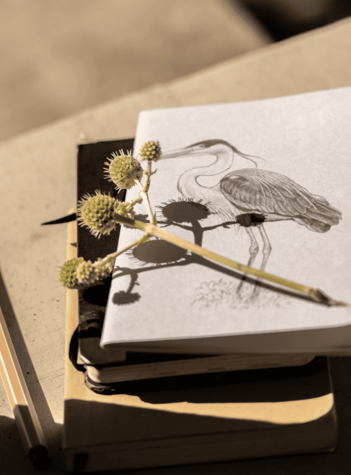 Libreta - Martín pescador