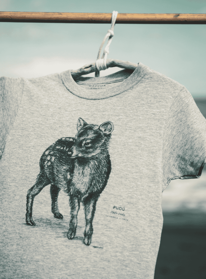 Polera Niño - Delfín Chileno