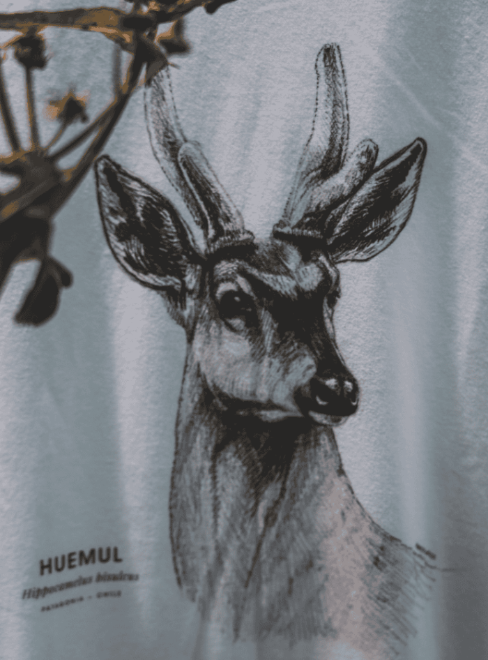 Polera Adulto Manga Larga - Cóndor