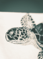 Polera Adulto Manga Larga - Tortuga Verde