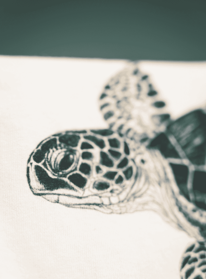 Polera Adulto Manga Larga - Tortuga Verde