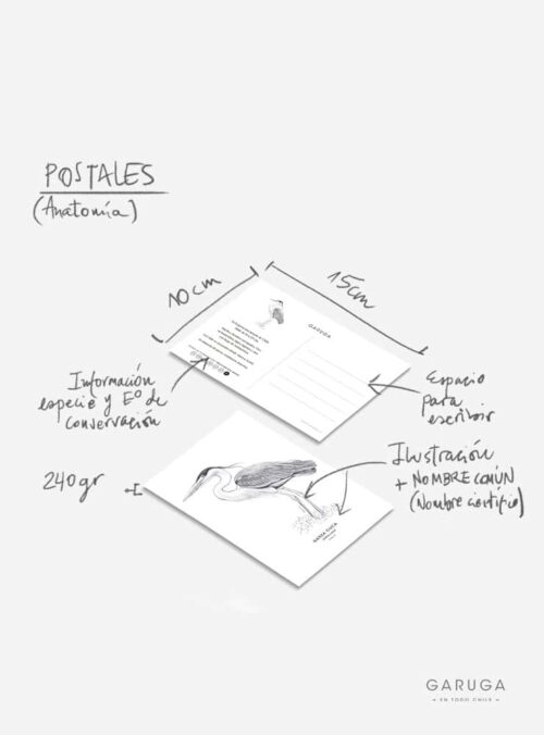 Anatomias-WEB_0005_POSTAL-1.jpg