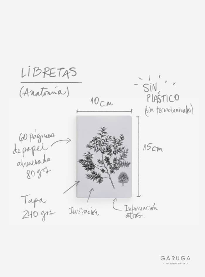 Libreta - Loica