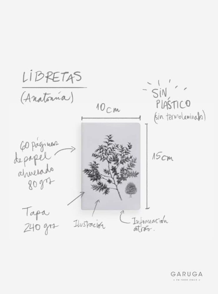 Libreta - Tucúquere
