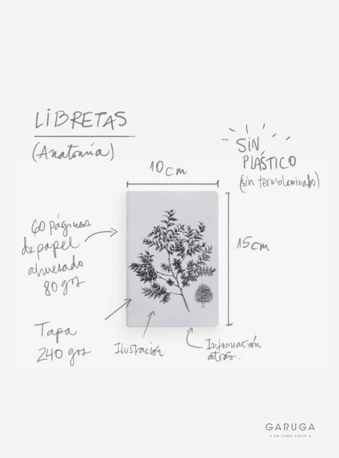 Libreta - Puma