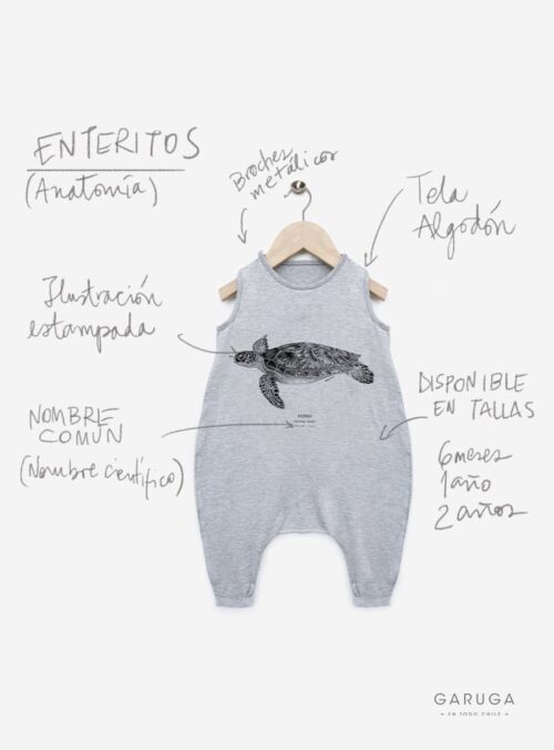 Anatomias-WEB_0023_ENTERITO.jpg