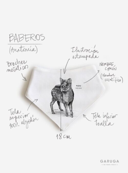Anatomias-WEB_0028_BABERO.jpg