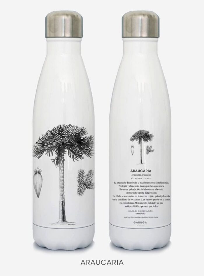 Botella Térmica - Araucaria