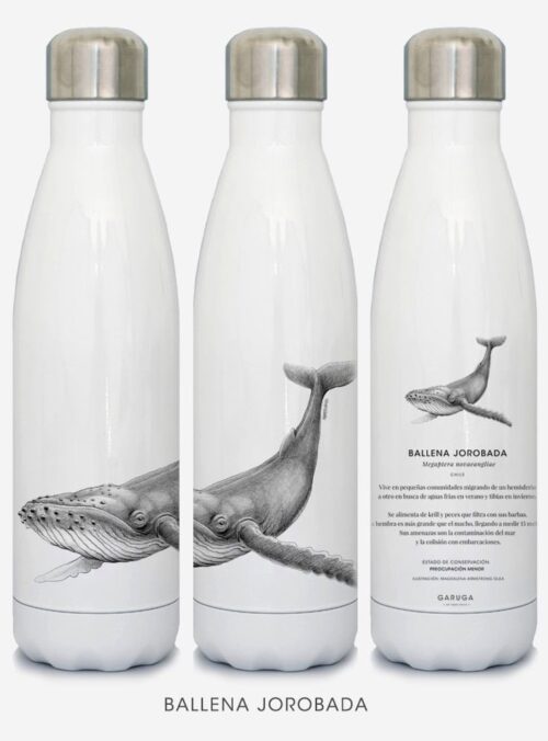 Botella Térmica - Ballena jorobada
