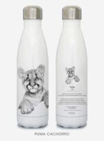 Pack Felino aventurero