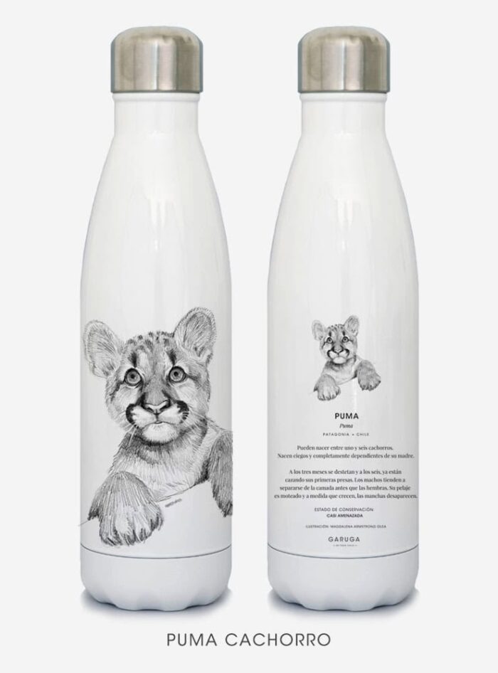 Pack Felino aventurero