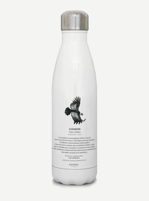 Botella_0001_padreCon2.png