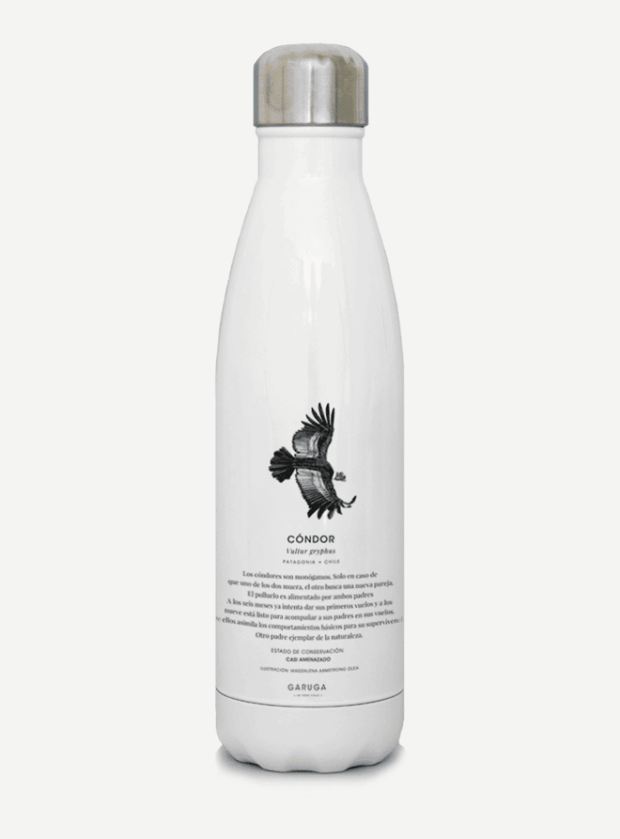 Botella Térmica - Cóndor