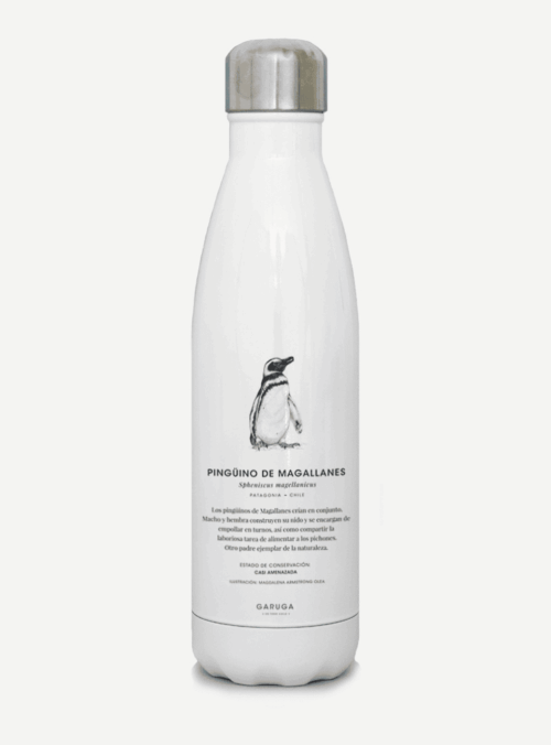 Botella_0005_padrePin2.png