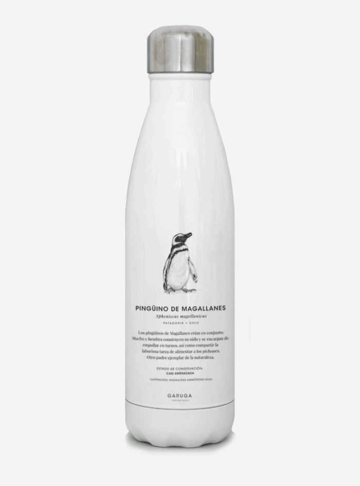 Botella Térmica - Pingüino de Magallanes