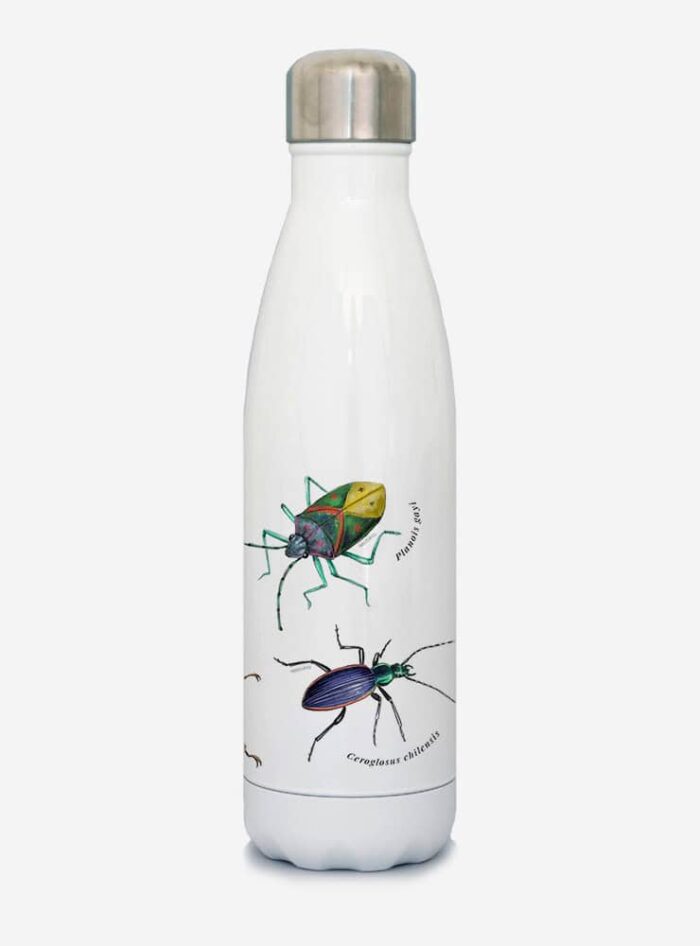 Botella Térmica - Insectos