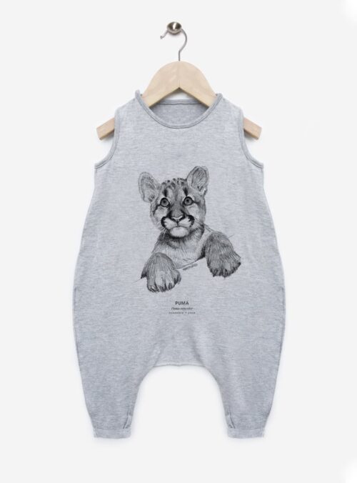 Enterito - Puma cachorro