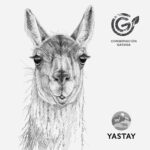 Mochila - Guanaco