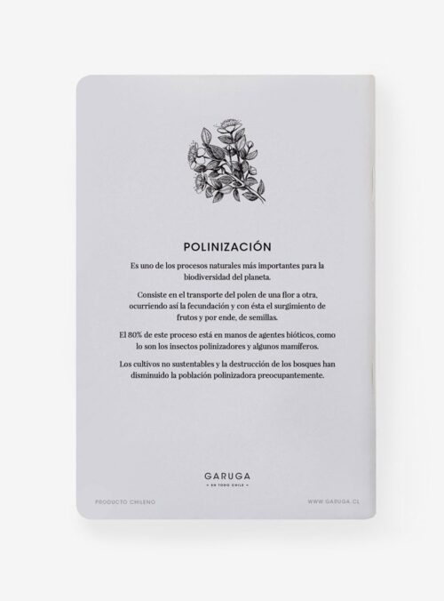 LIBRETA_00024_POLI2.jpg