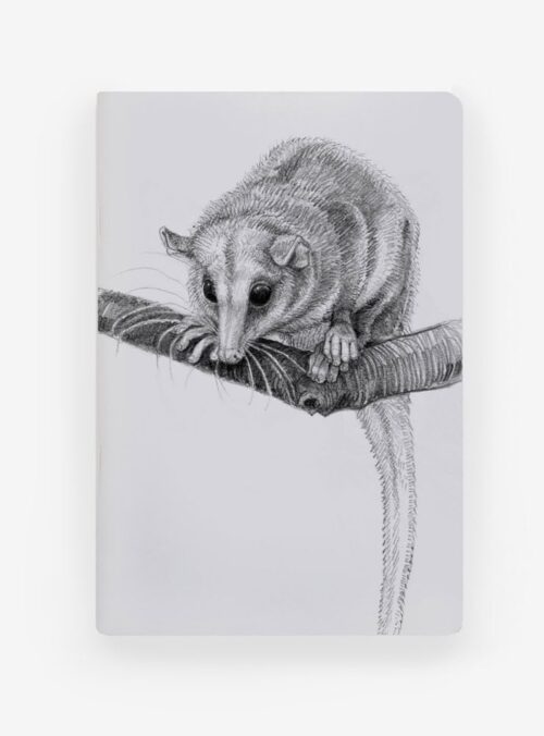 Libreta - Monito del monte