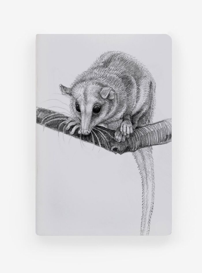 Libreta - Monito del monte