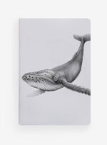 Pack 4 Libretas