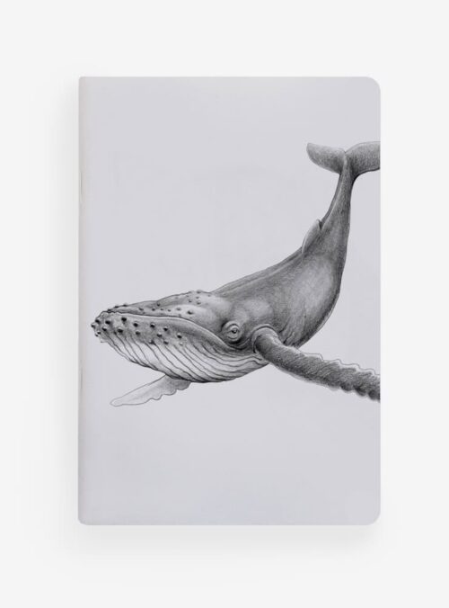 Libreta - Ballena Jorobada