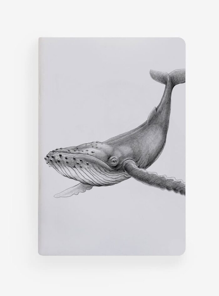 Pack 4 Libretas